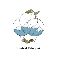 Quintral International School logo - Similar company to Haras El Mallin