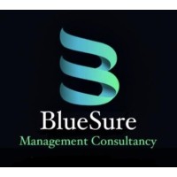 BlueSure logo - Similar company to Now Consultations