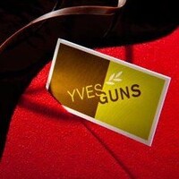 YVES GUNS BVBA logo - Similar company to Group Van Overstraeten