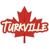 Turkville logo - Similar company to Digitalest8
