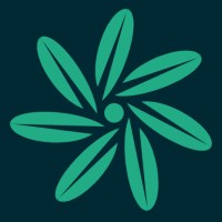 Datapetal logo - Similar company to 2Go Solutions