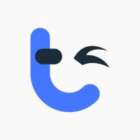 Tech Winks logo - Similar company to The Tech Io