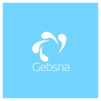 Gebsna Business Solutions logo - Similar company to Letshego Eswatini