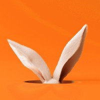 White Rabbit Hole AI logo - Similar company to White Rabbit Creative Agency