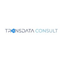 Transdata Consult logo - Similar company to Itraffic Engineering, Llc