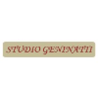 Studio Geninatti logo - Similar company to Studio Associato Bontempo