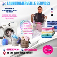 laundro merveille logo - Similar company to Like Plus