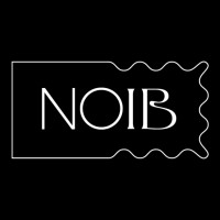 NOIB logo - Similar company to Perfect Optics