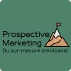 Prospective Marketing 73 logo - Similar company to Iconda Solutions