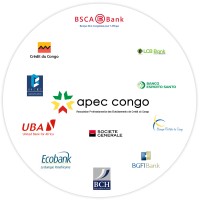 APEC Congo logo - Similar company to Cristal Xp