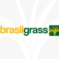 Brasil Grass | Grama Sintética logo - Similar company to Superbase Concreto