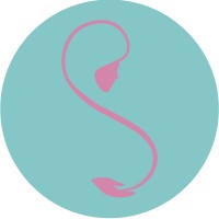 Safe Zone Slovenia logo - Similar company to Iecom D.O.O.