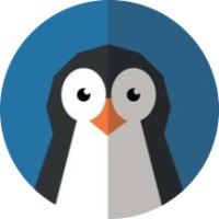 Speed glaçon logo - Similar company to Qapsul'
