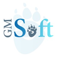 GMSoft-plus logo - Similar company to Enopps