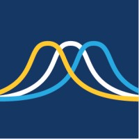 Nicholson Consulting logo - Similar company to Dot Loves Data