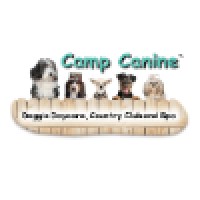 Camp Canine