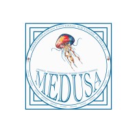 MEDUSA logo - Similar company to Cws Plus