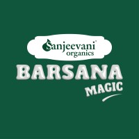 Barsana Magic logo - Similar company to Drify