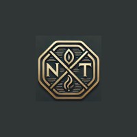 NXT Partners logo - Similar company to Rsv Electronics