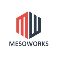 Mesoworks logo - Similar company to Asvoria