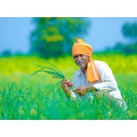 Farmer logo - Similar company to Tanisha || Richind