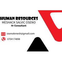 MESAO CONSULTANTS logo - Similar company to Cherd Africa Limited