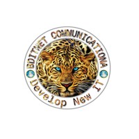 BD IT NET logo - Similar company to Benin Telecoms Sa