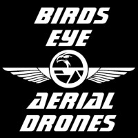 Birds Eye Aerial Drones, LLC logo - Similar company to Cyberhawk™