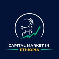 Capital Market in Ethiopia logo - Similar company to Leanup Digital Creatives