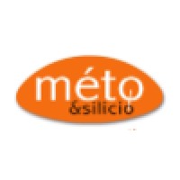 Meto & Silico