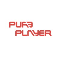 pureplayer logo - Similar company to Archipel