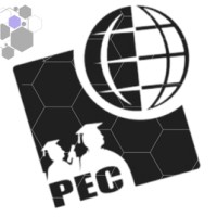 Platinum Educational Consultancy Pvt. Ltd. logo - Similar company to Success Path Education Consultancy