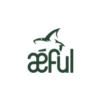 AEFUL logo - Similar company to Aéfsa