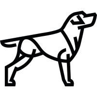 LAZERIAN logo - Similar company to Pyramid Compass