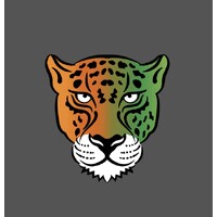Jaguar Plumbing Heating & Drainage logo - Similar company to Tsm Heating Services Ltd