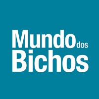 Mundo Dos Bichos