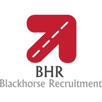 BLACKHORSE RECRUITMENT LIMITED logo - Similar company to Regent Pharmacy