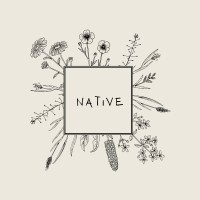 Native logo - Similar company to Agency Moøon