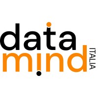 Datamind Italia S.r.l. logo - Similar company to Datamind Srl