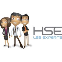 Les Experts HSE logo - Similar company to Les Experts Hse Perform