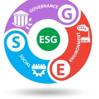 ESG-API logo - Similar company to Nleru Ventures