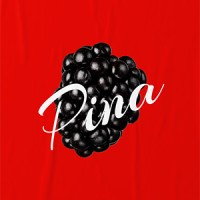 Pina Jewel logo - Similar company to Dear Rae Jewellery