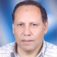 ندهي السيد logo - Similar company to Helool Net