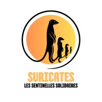 Suricates logo - Similar company to Alf Futsal - Amateur Lyon Fidésien