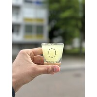 Fiortio_meisje logo - Similar company to Online Revolution