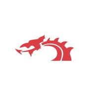 Dragonboard Ltd logo - Similar company to Magx Science