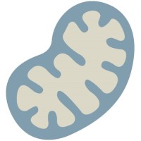 Mitochon Technologies LLC logo - Similar company to Mitosense, Inc.