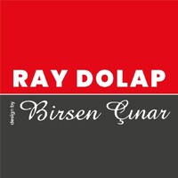 Ray Dolap logo - Similar company to Raydolap