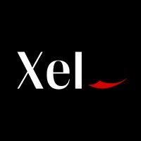 Xel logo - Similar company to Xel It Services
