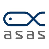 ASAS, Inc. logo - Similar company to Deepinsight